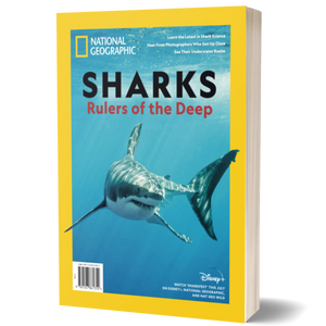 National Geographic Sharks