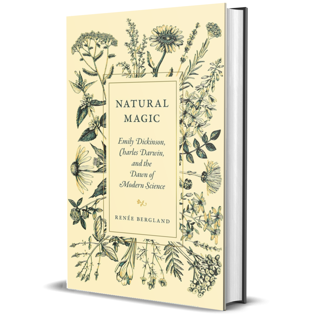 Natural Magic: Emily Dickinson, Charles Darwin, and the Dawn of Modern Science