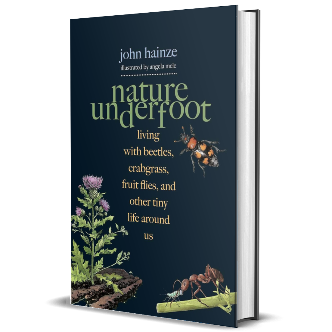 Nature Underfoot Living with Beetles, Crabgrass, Fruit Flies, and Other Tiny Life Around Us