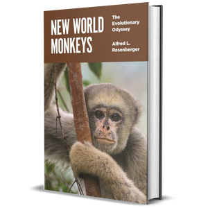 New World Monkeys: The Evolutionary Odyssey