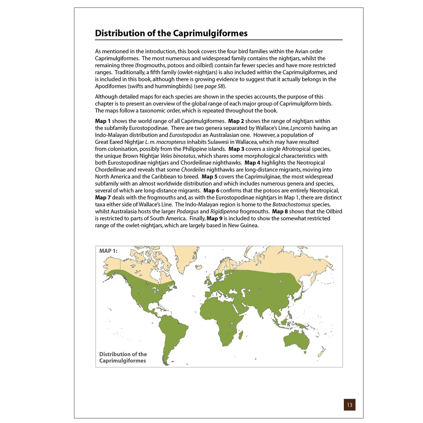 Nightjars, Potoos, Frogmouths, Oilbird, and Owlet-nightjars of the World