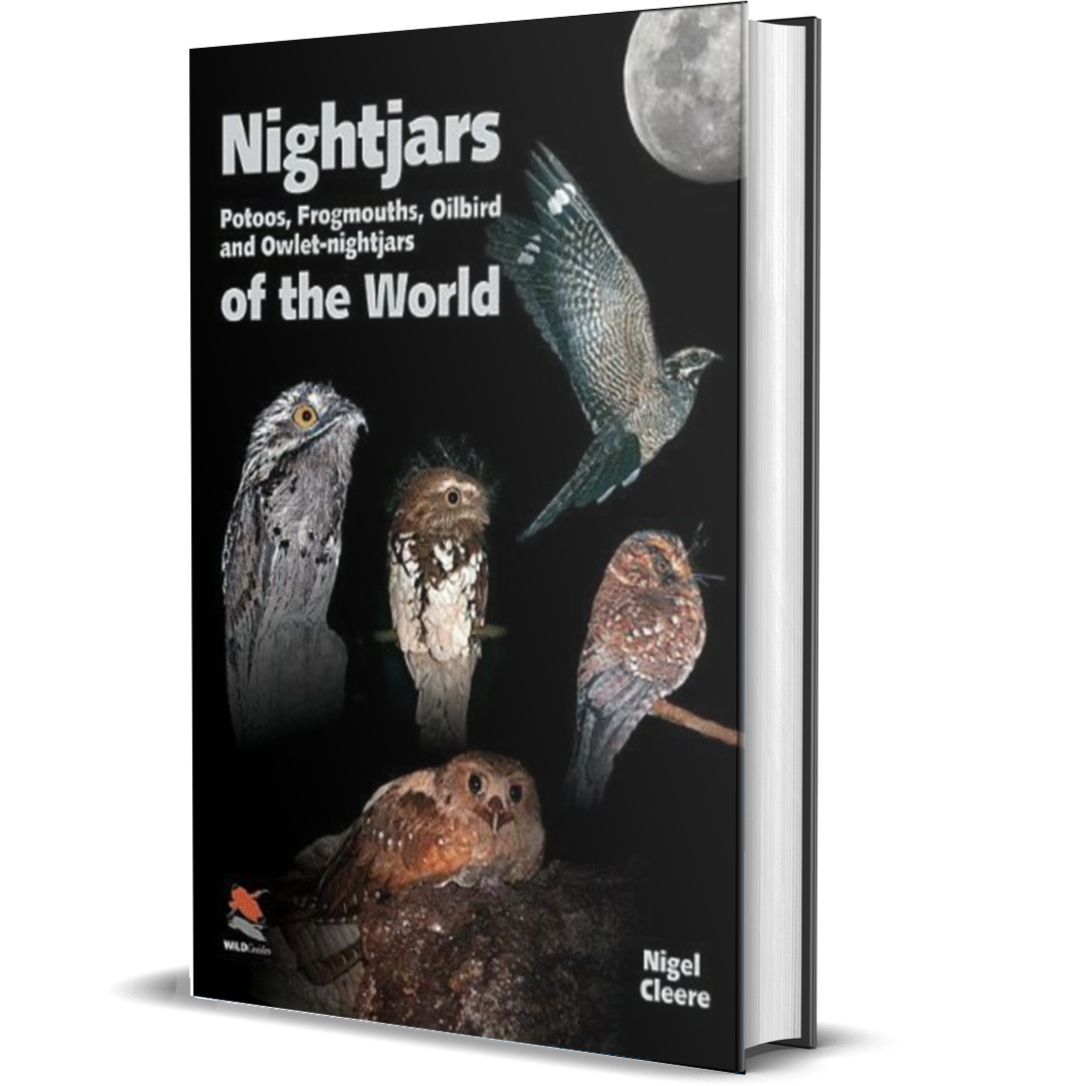 Nightjars, Potoos, Frogmouths, Oilbird, and Owlet-nightjars of the World