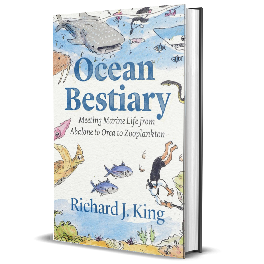 Ocean Bestiary: Meeting Marine Life from Abalone to Orca to Zooplankton