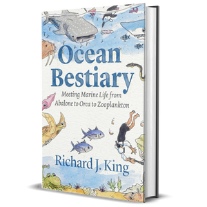 Ocean Bestiary: Meeting Marine Life from Abalone to Orca to Zooplankton