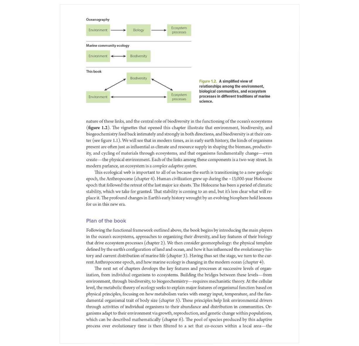 Ocean Ecology: Marine Life in the Age of Humans