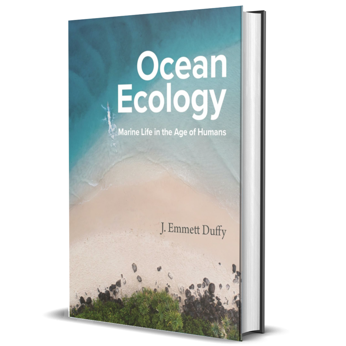 Ocean Ecology: Marine Life in the Age of Humans
