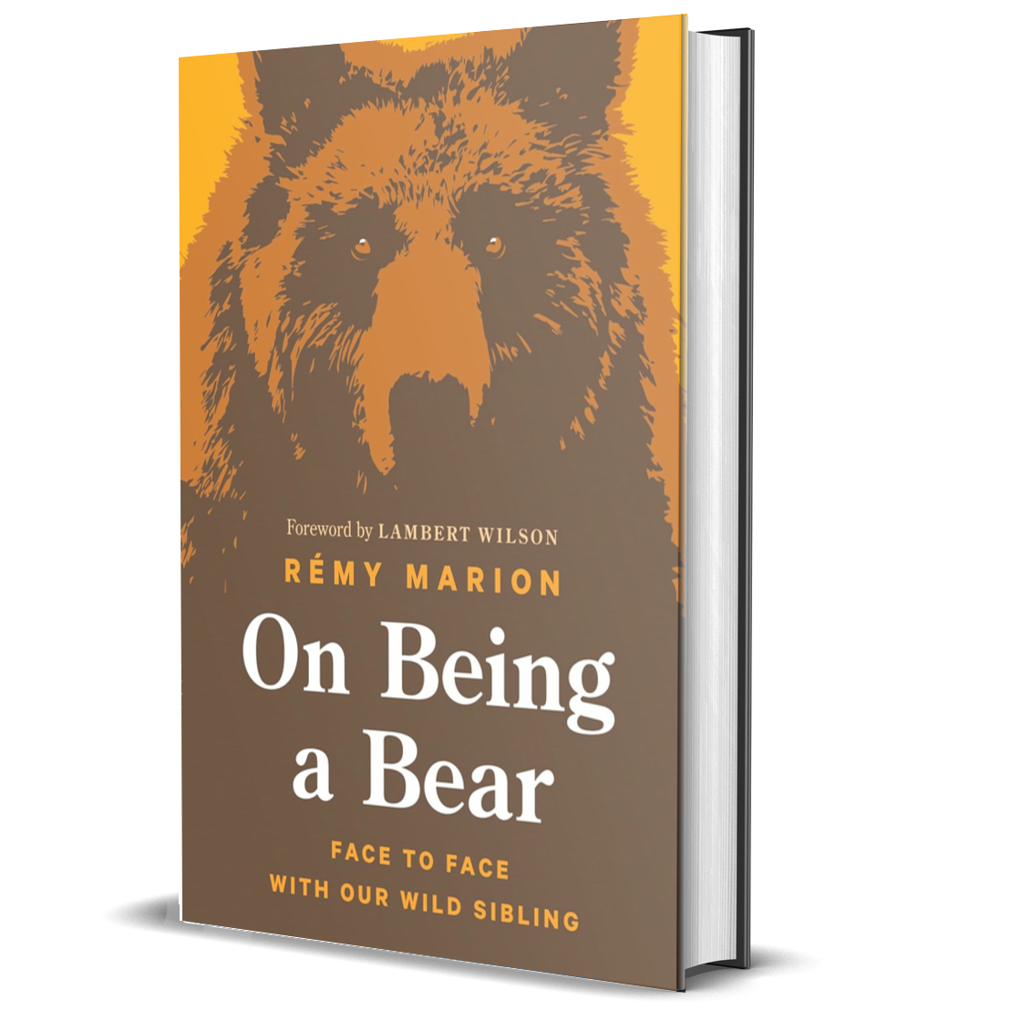 On Being a Bear: Face to Face with Our Wild Sibling