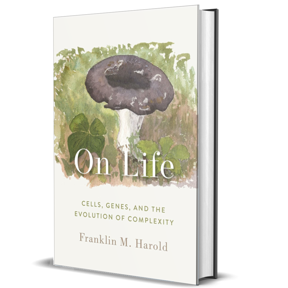 On Life: Cells, Genes, and the Evolution of Complexity