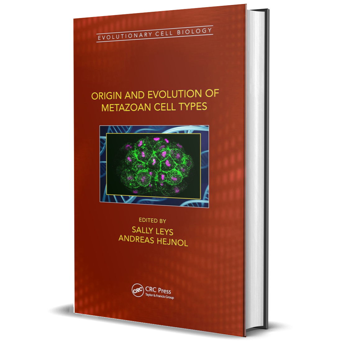 Origin and Evolution of Metazoan Cell Types (Evolutionary Cell Biology), 1st Ed.