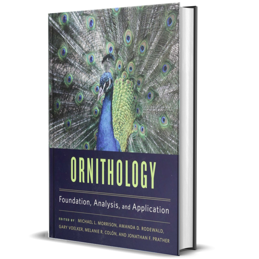 Ornithology: Foundation, Analysis, and Application