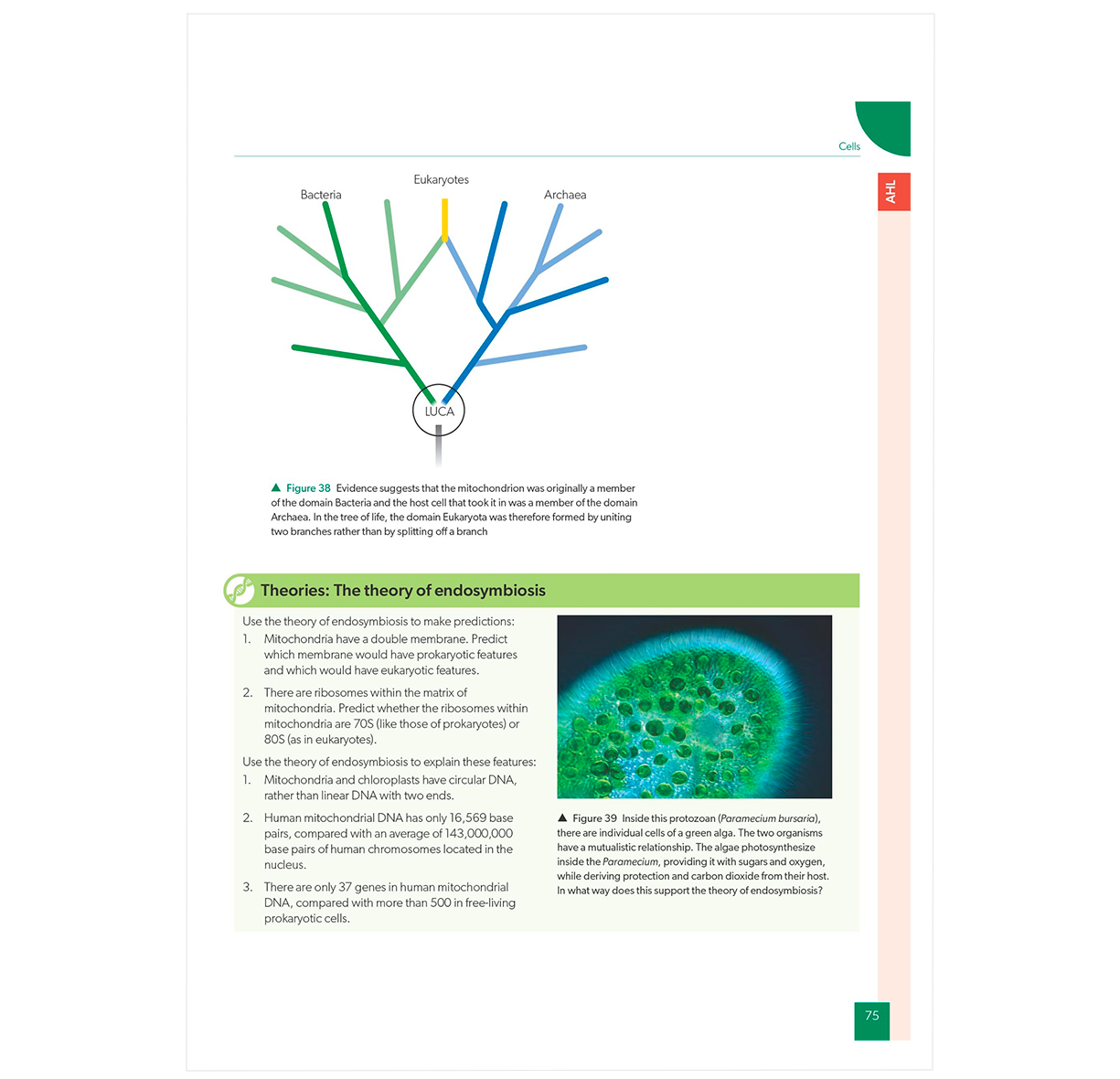 Oxford Resources for IB DP Biology Course Book