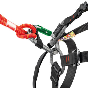 Mosquetão Petzl Am'D Pin-Lock
