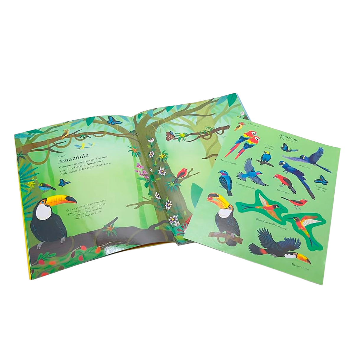 Pássaros: Meu Livrinho de Adesivos (+3)