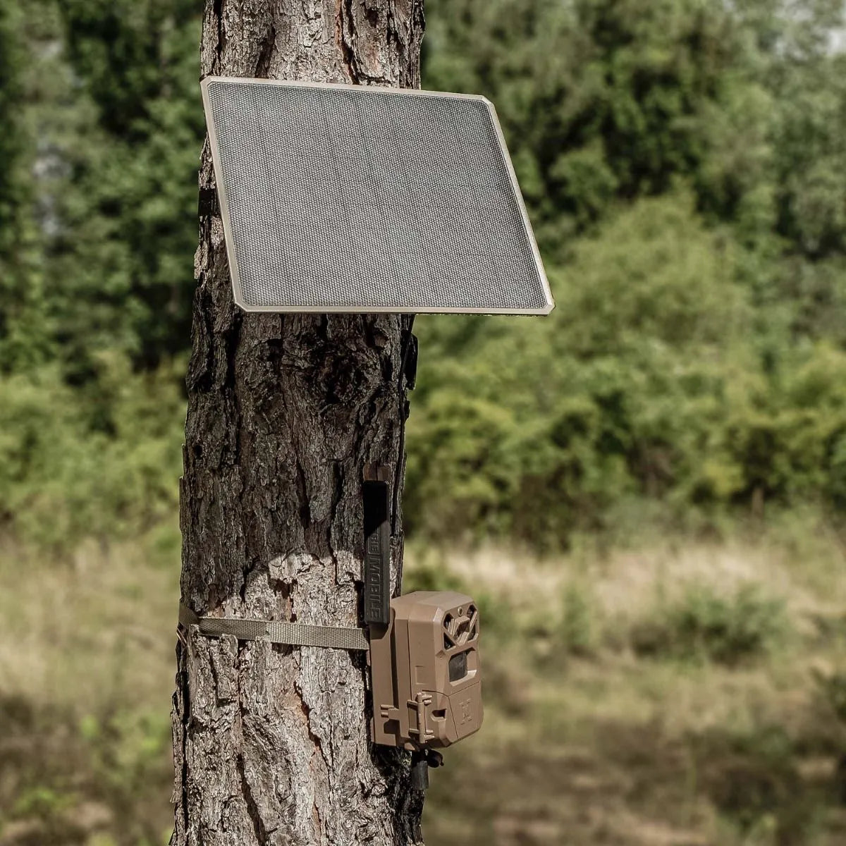 Pacote de Energia Solar Moultrie Série Edge 3.4 W com Power Bank Integrado