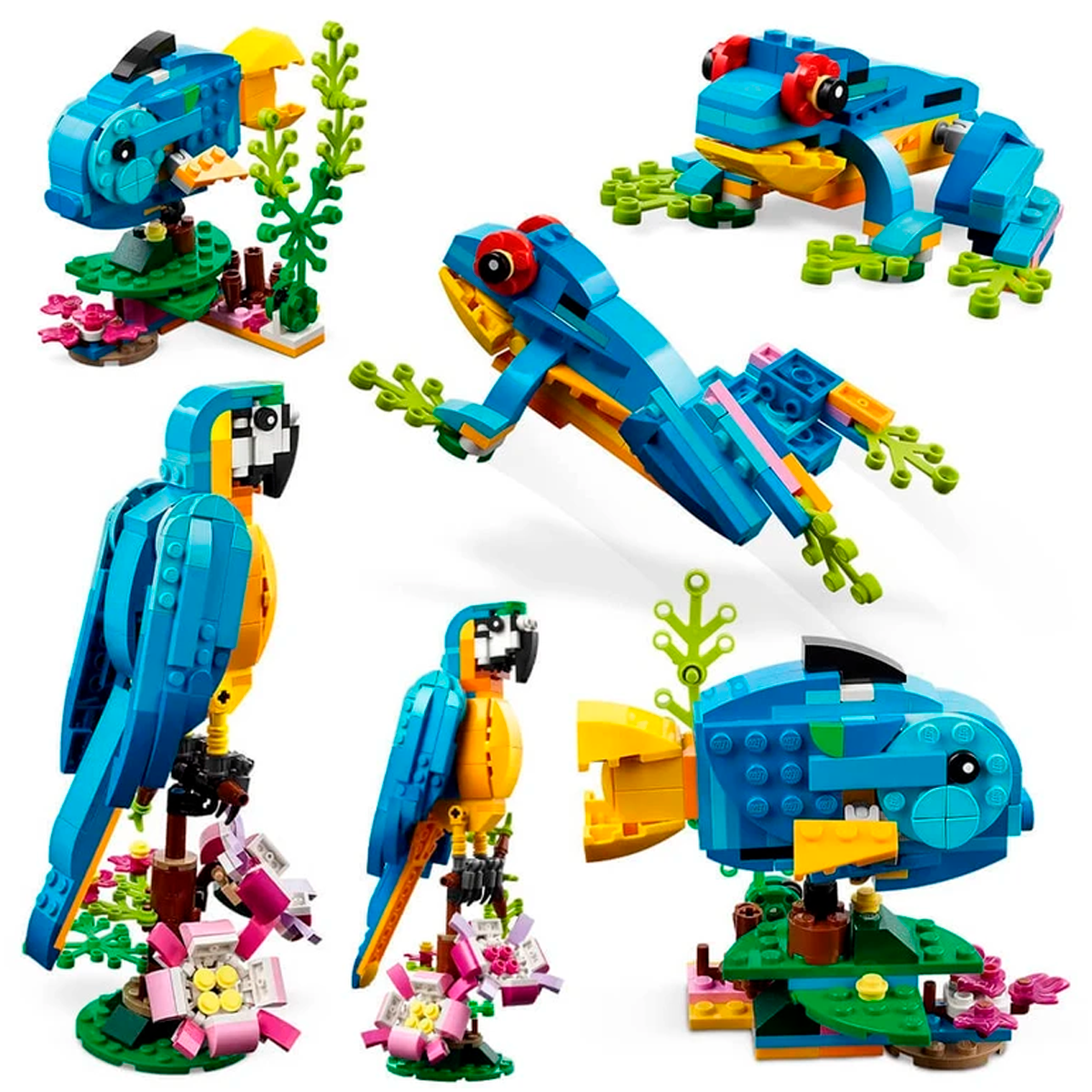 Papagaio Exótico 3 em 1 – Conjunto de Construção de Animais com Blocos Transformáveis (+6)