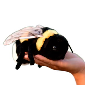 Pelúcia de Abelha Macia (+3)