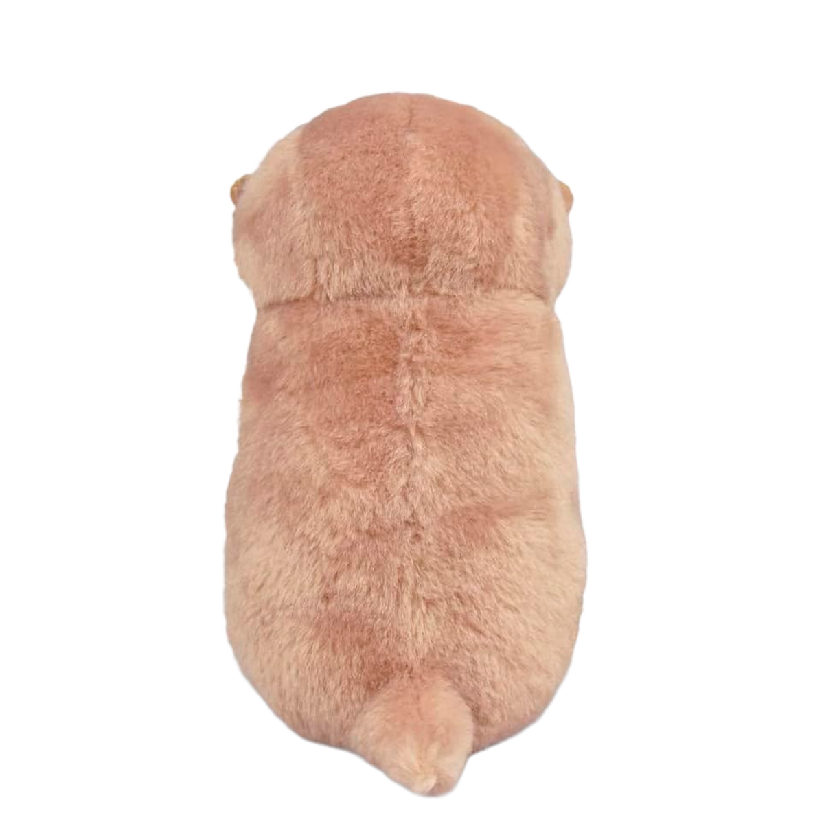 Pelúcia de Lontra (+3)