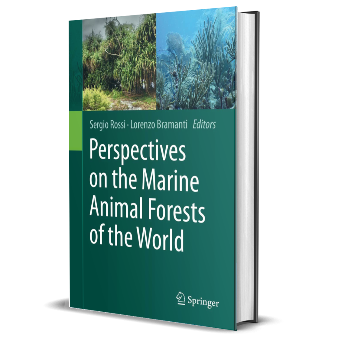 Perspectives on the Marine Animal Forests of the World
