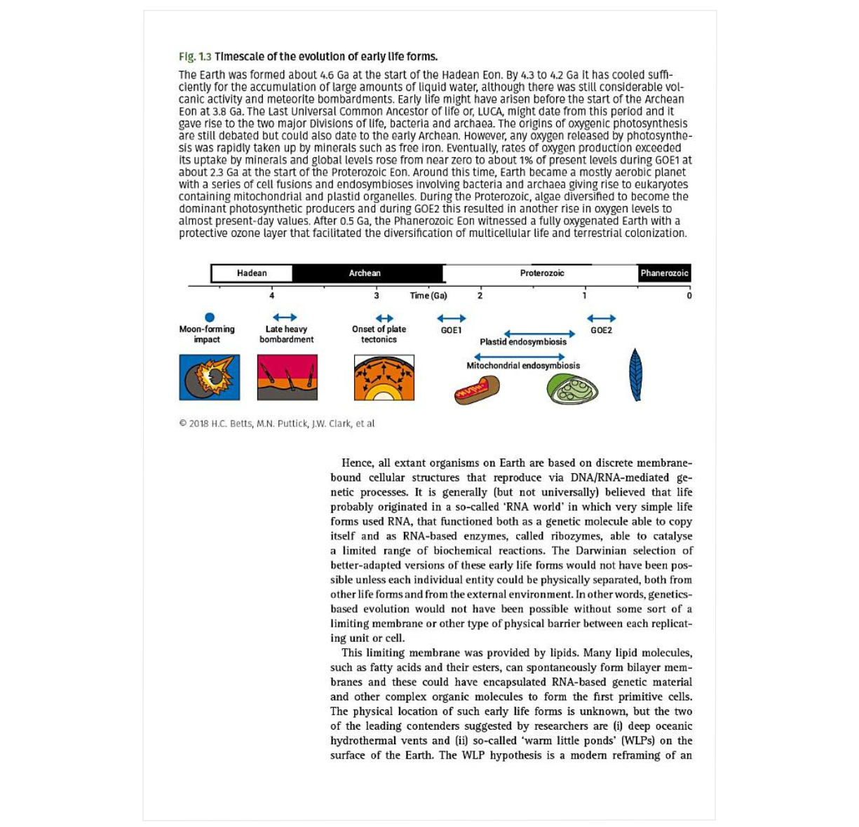 Photosynthetic Life: Origin, Evolution, and Future (Oxford Biology Primers)