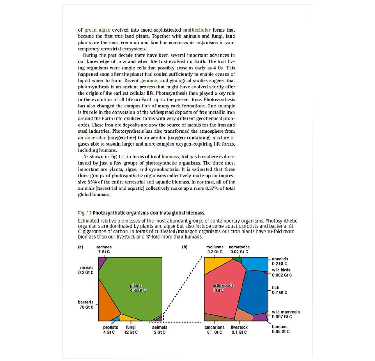 Photosynthetic Life: Origin, Evolution, and Future (Oxford Biology Primers)