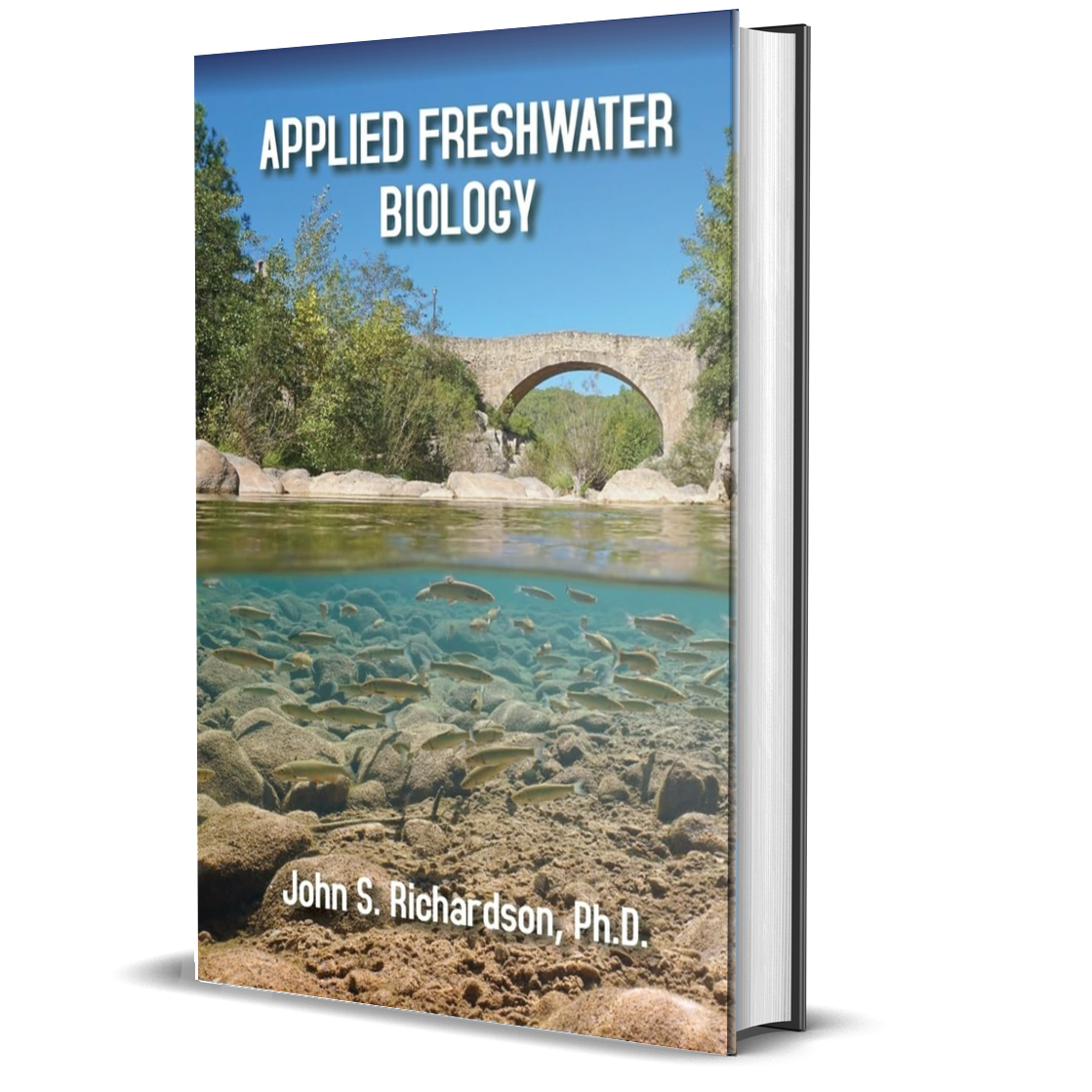 Physiology of Molluscs: Current Researches