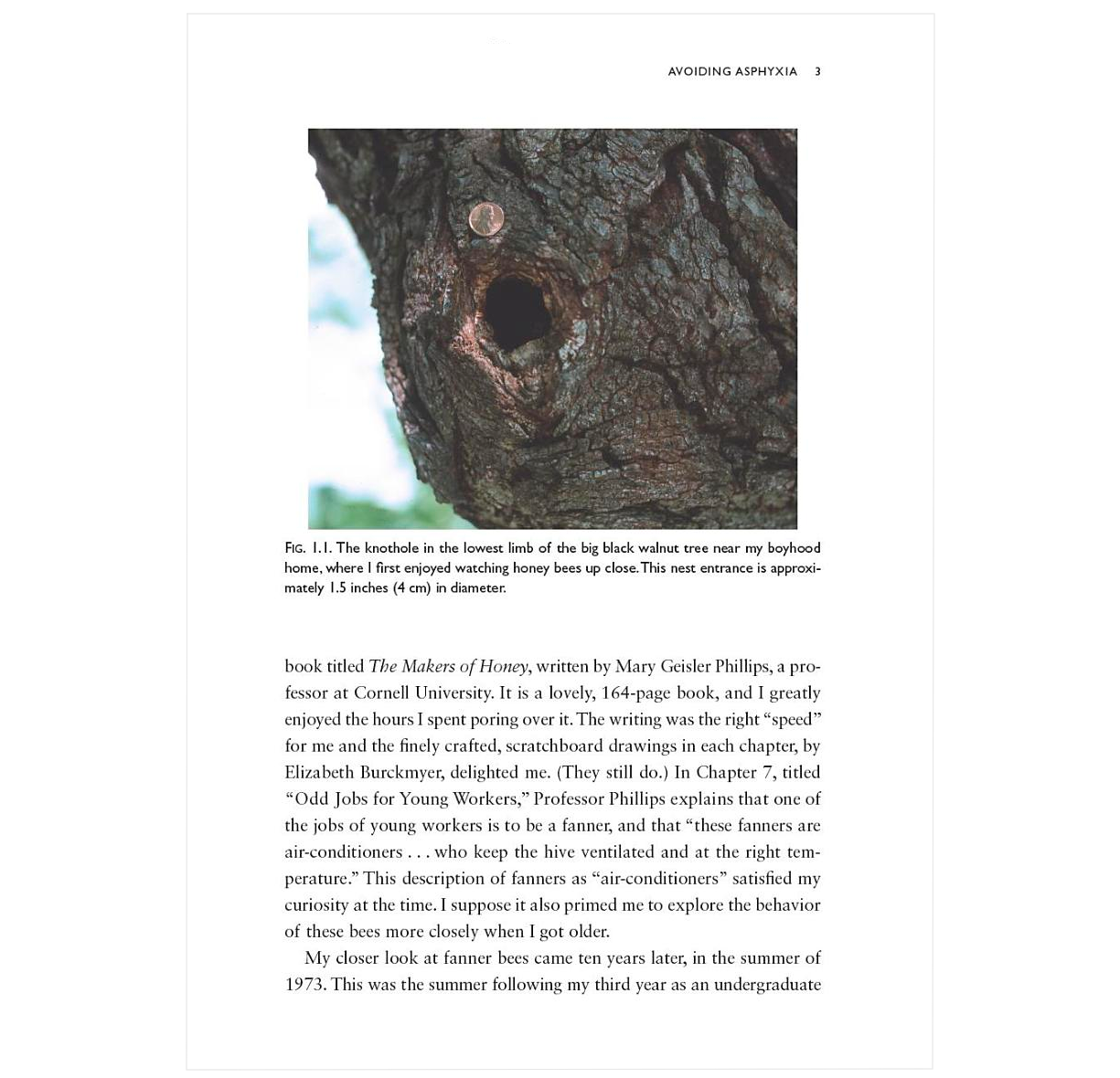 Piping Hot Bees and Boisterous Buzz-Runners: 20 Mysteries of Honey Bee Behavior Solved