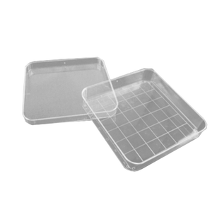 Placa de Petri Wildco com Grade 17,78 x 8,89 x 8,89 cm x10 Un