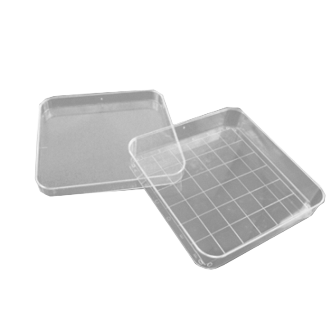 Placa de Petri Wildco com Grade 17,78 x 8,89 x 8,89 cm x10 Un