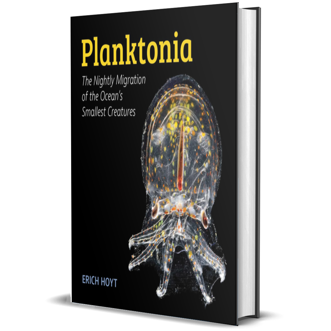 Planktonia: The Nightly Migration of the Ocean's Smallest Creatures