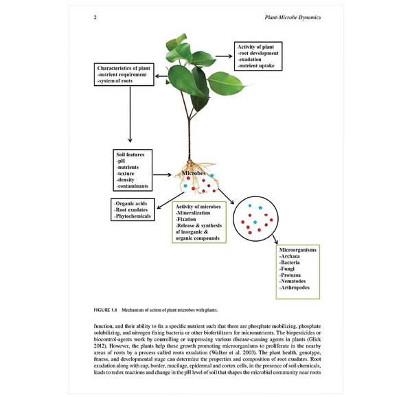 Plant-Microbe Dynamics: Recent Advances for Sustainable Agriculture ...