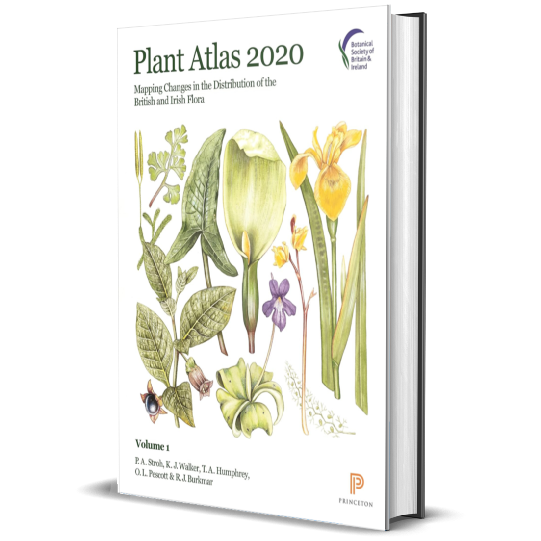 Plant Atlas 2020: Mapping Changes in the Distribution of the British and Irish Flora
