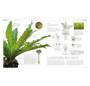 Plants and Fungi: The Definitive Visual Encyclopedia