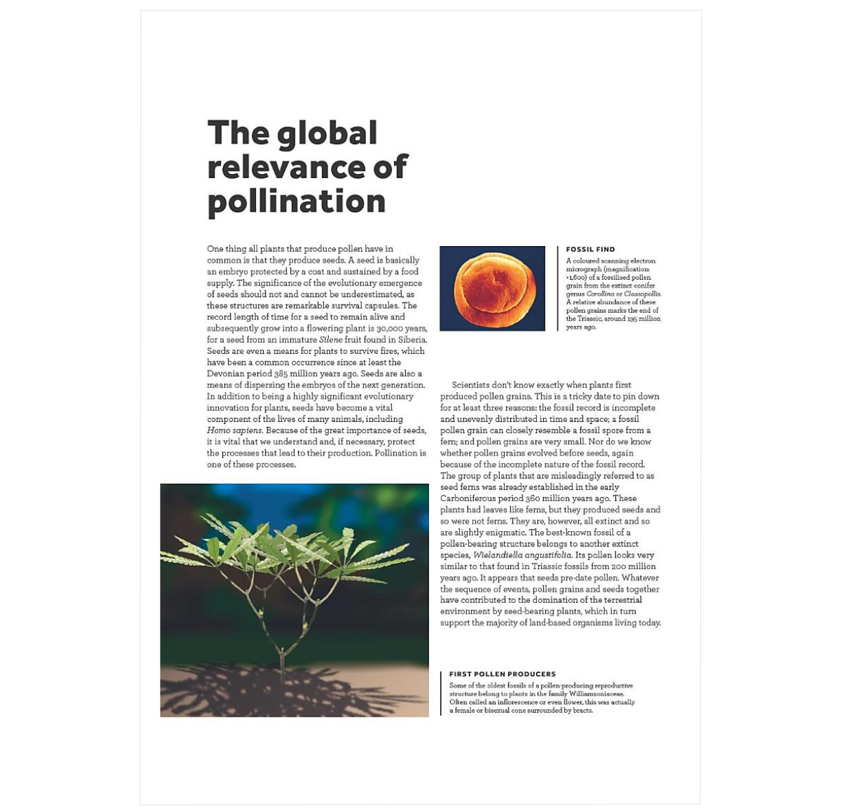 Pollination: The Enduring Relationship between Plant and Pollinator