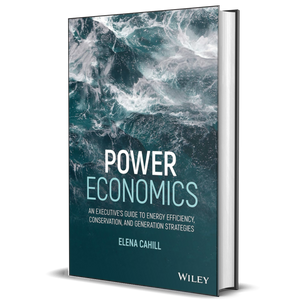Power Economics: An Executive's Guide to Energy Efficiency, Conservation, and Generation Strategies