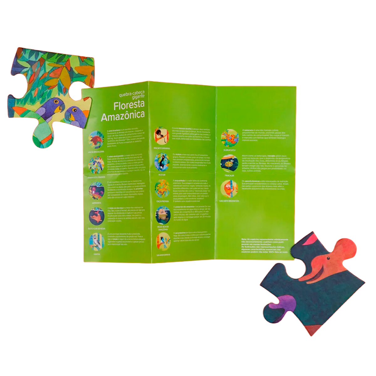 Quebra-Cabeça - Floresta Amazônica Gigante de 48 Peças (+4)