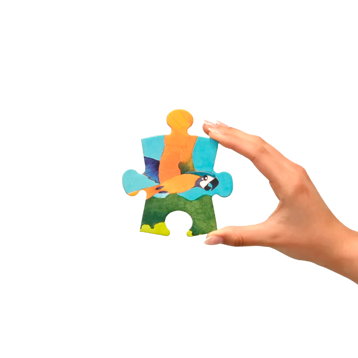 Quebra-Cabeça Gigante de Cerrado de 60 peças (+4)