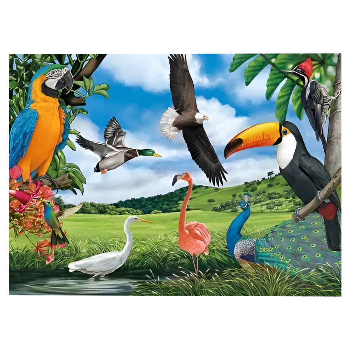 Quebra-Cabeça de Aves para Crianças – 100 Peças (+6)