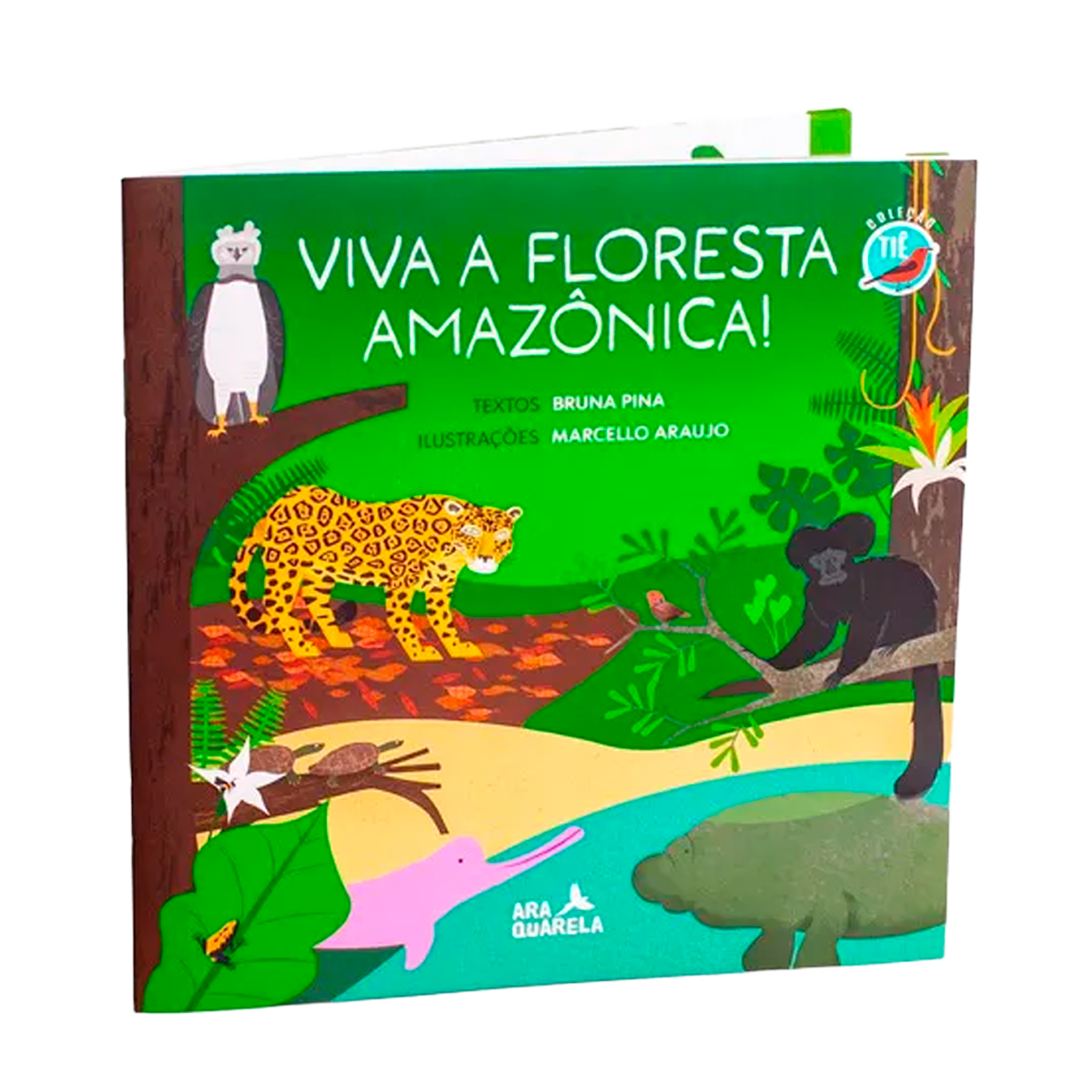 Quebra-Cabeça de Aves para Crianças de 100 Peças (+6)