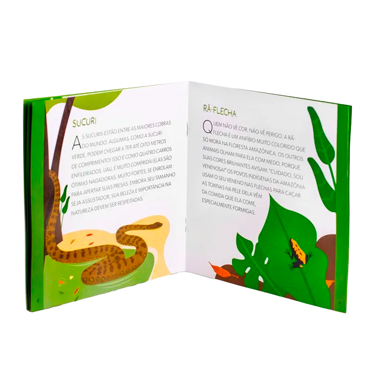 Quebra-Cabeça de Aves para Crianças de 100 Peças (+6)