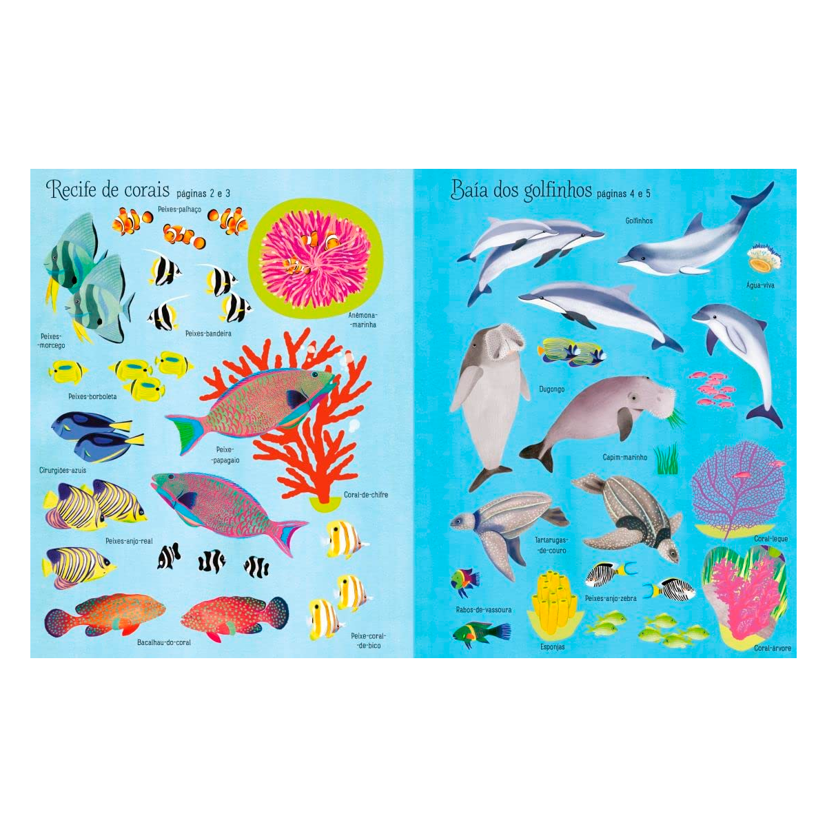 Recife de Coral: Primeiros Adesivos (+3) 