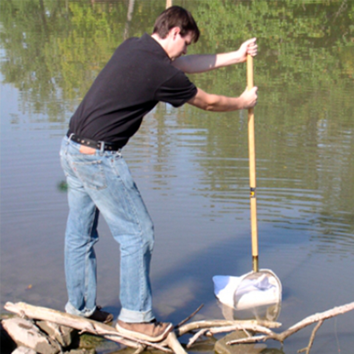 Redes com Armação em D Wildco com Haste Fixa