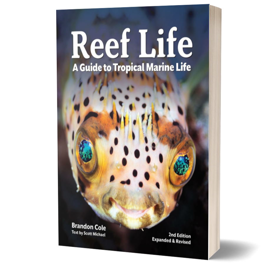 Reef Life: A Guide to Tropical Marine Life