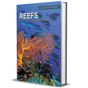 Reefs: The Oceans' Underwater Ecosystems (Amazing Places)