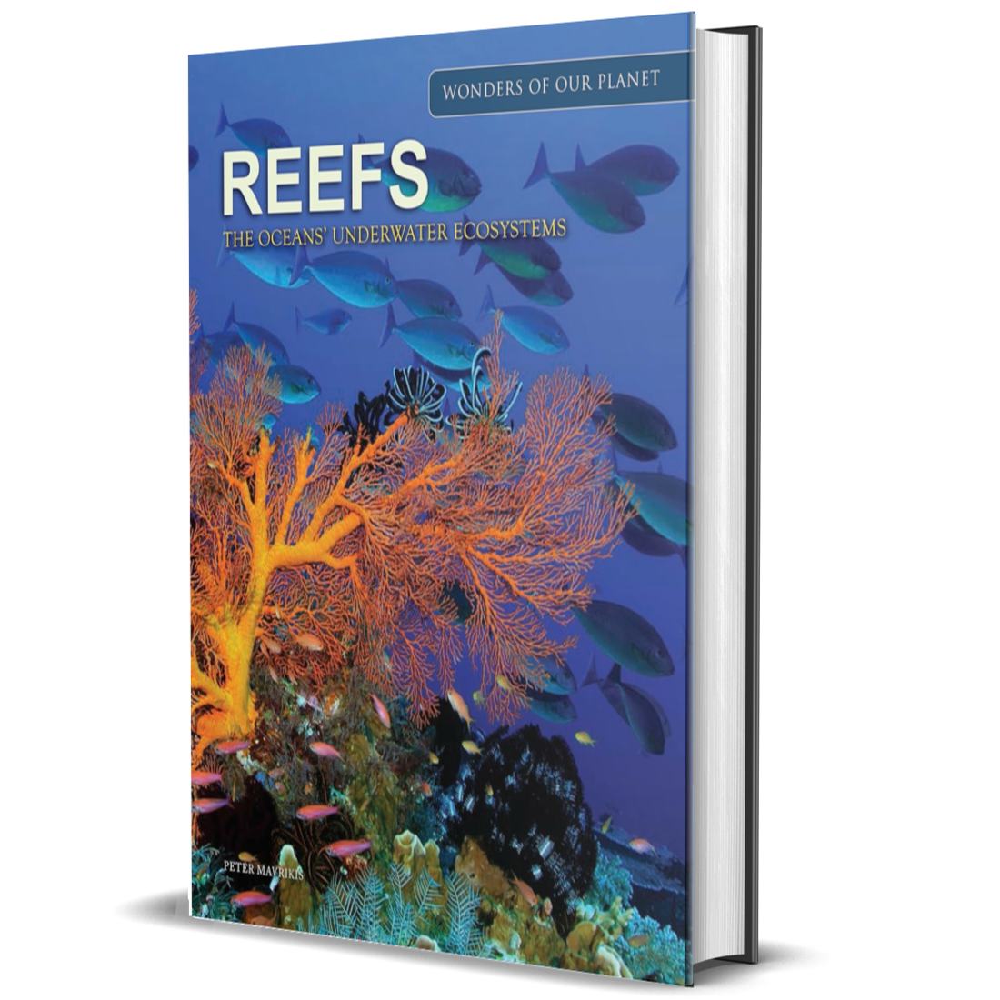 Reefs: The Oceans' Underwater Ecosystems (Amazing Places)