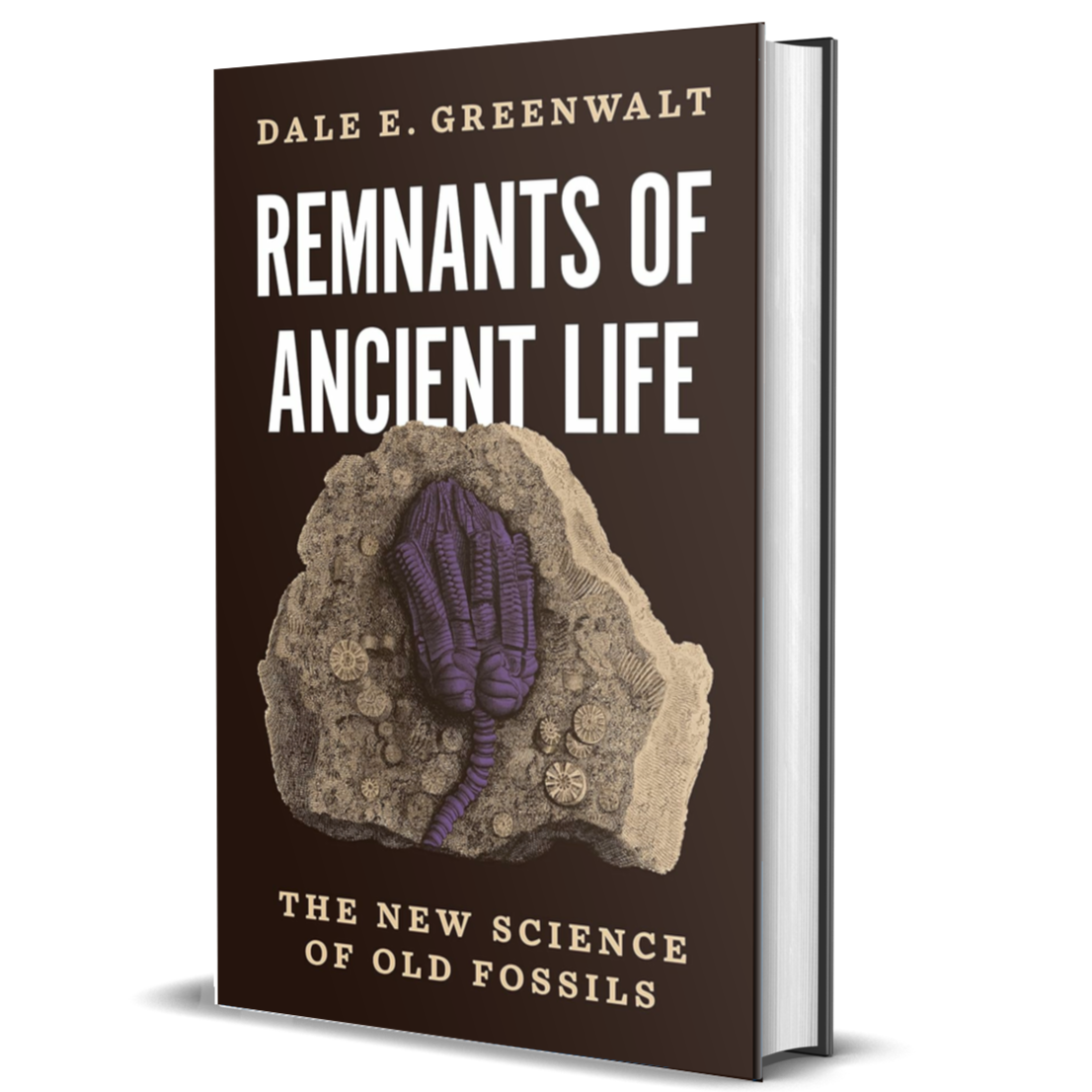 Remnants of Ancient Life: The New Science of Old Fossils