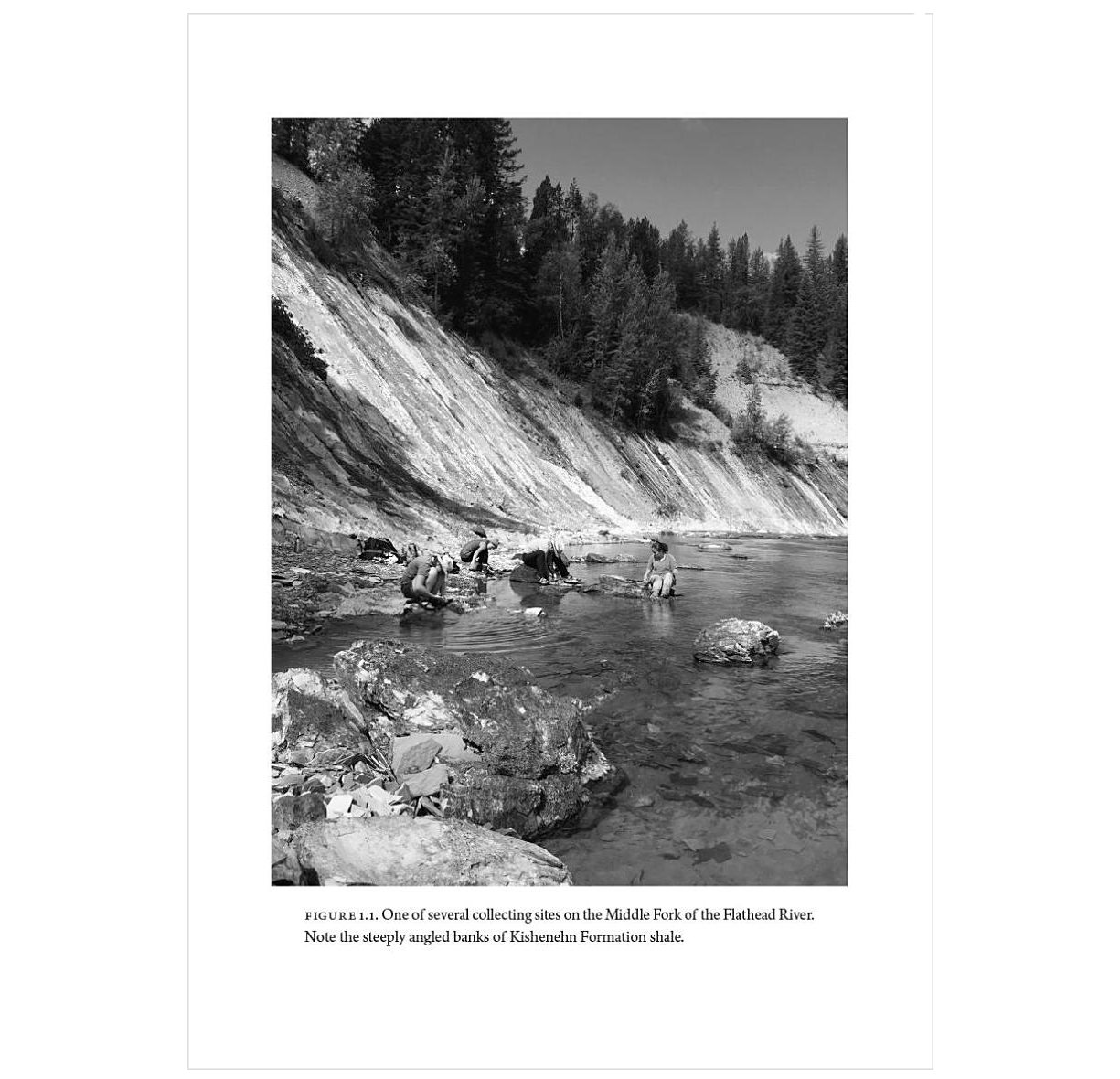 Remnants of Ancient Life: The New Science of Old Fossils