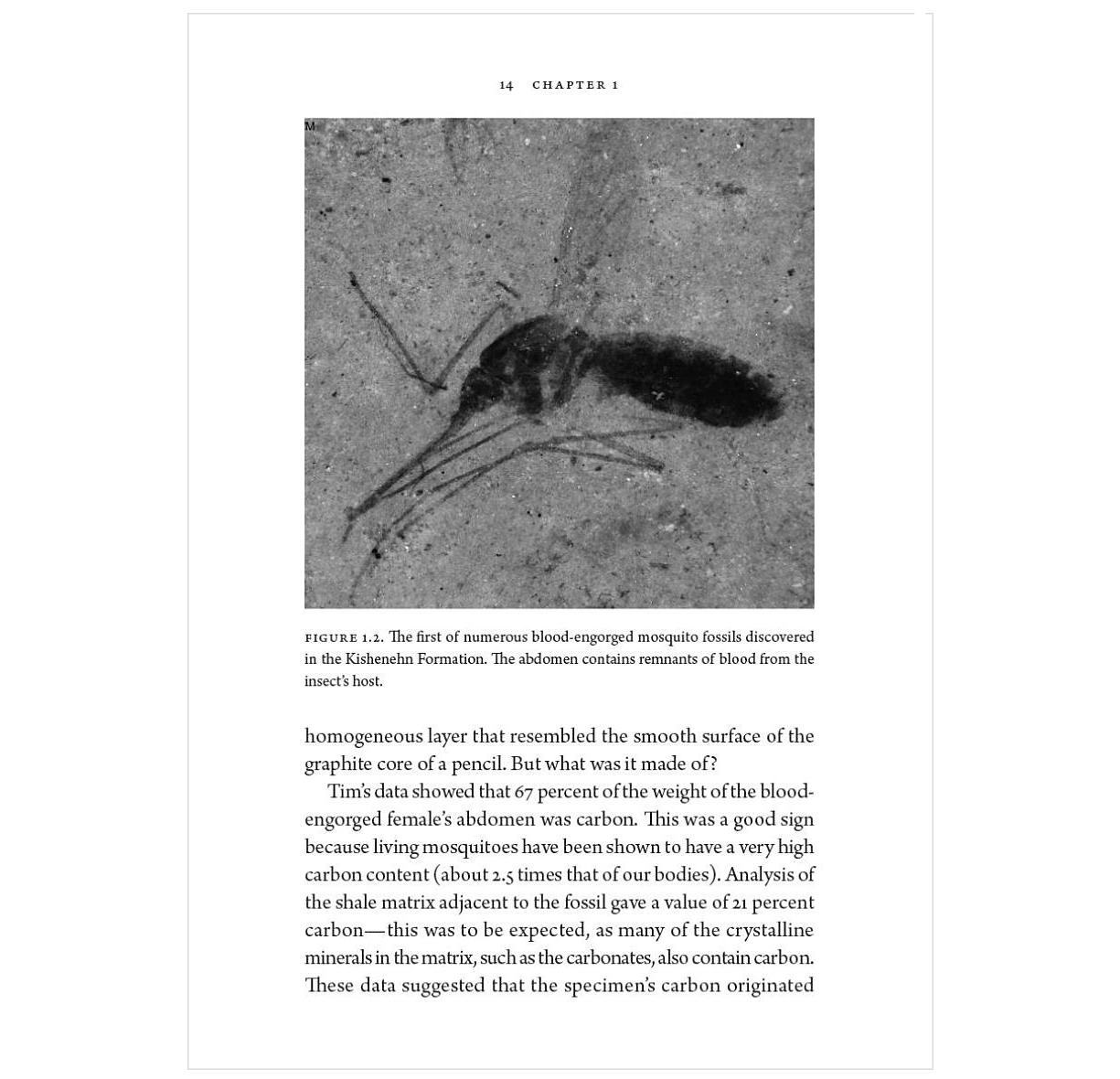 Remnants of Ancient Life: The New Science of Old Fossils
