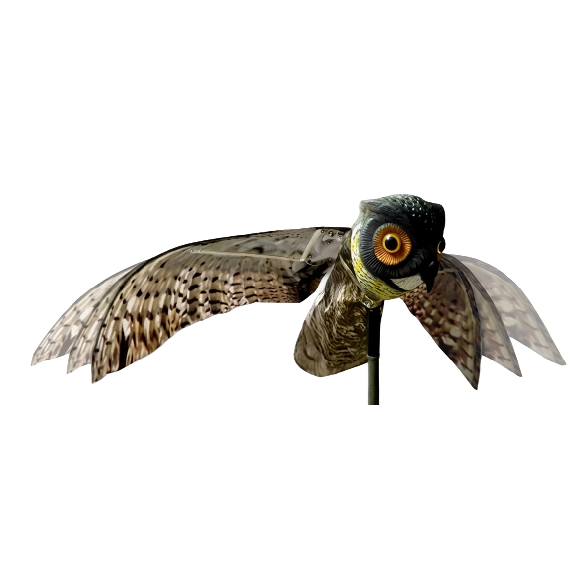 Repelente de Coruja Rondante Bird-X