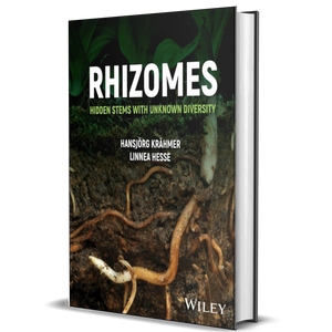 Rhizomes: Hidden Stems with Unknown Diversity