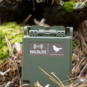 Gravador Acústico Portátil Wildlife Acoustics com Caixa robusta IP67 e Bateria de Maior Duração